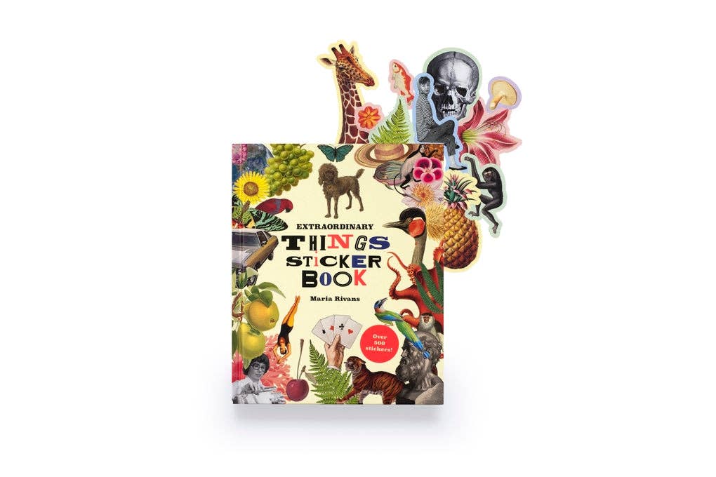 Extraordinary Things Sticker Book by Maria Rivans (Hardback)