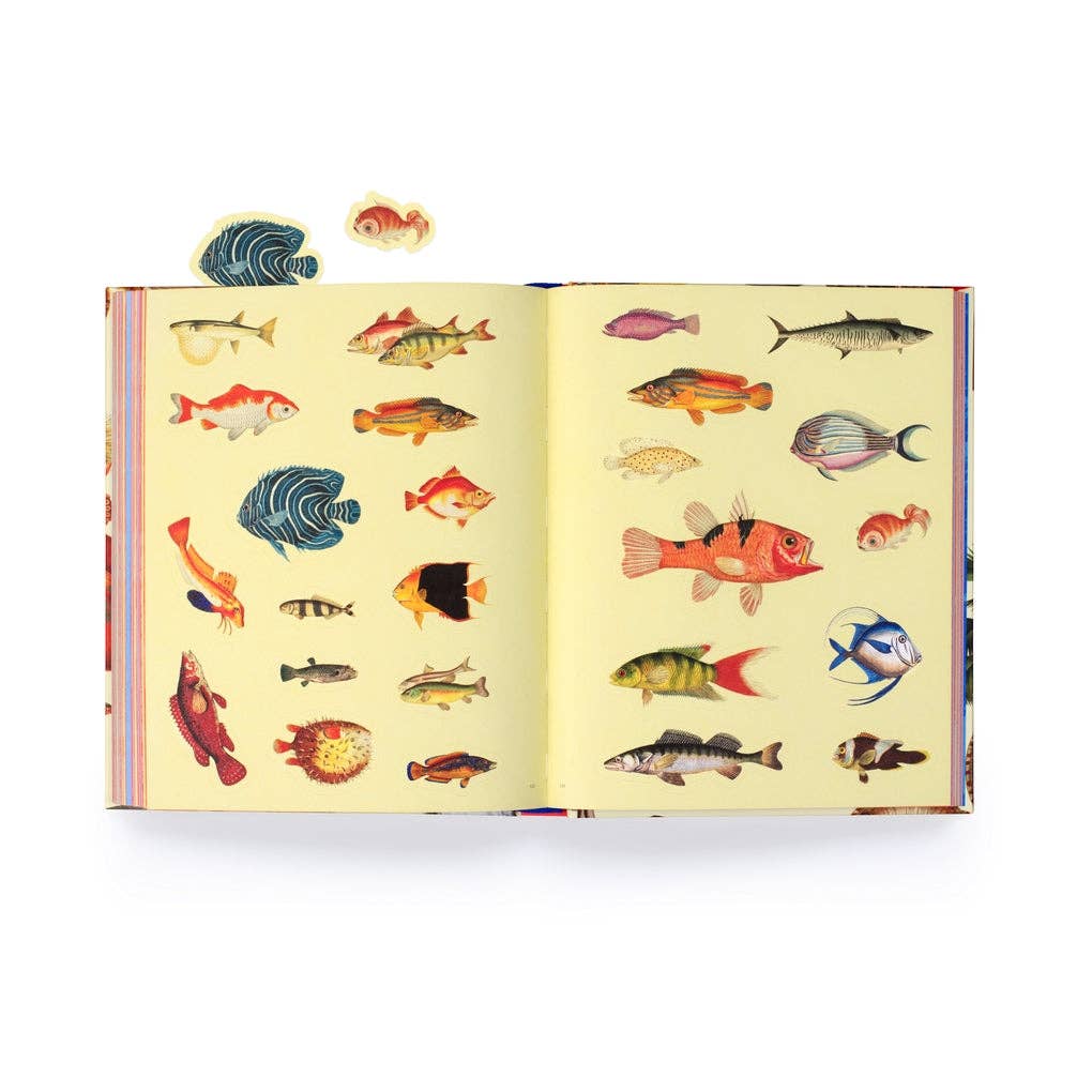 Extraordinary Things Sticker Book by Maria Rivans (Hardback)