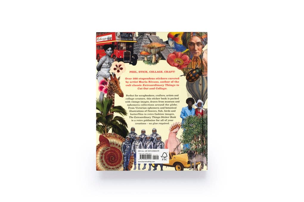 Extraordinary Things Sticker Book by Maria Rivans (Hardback)