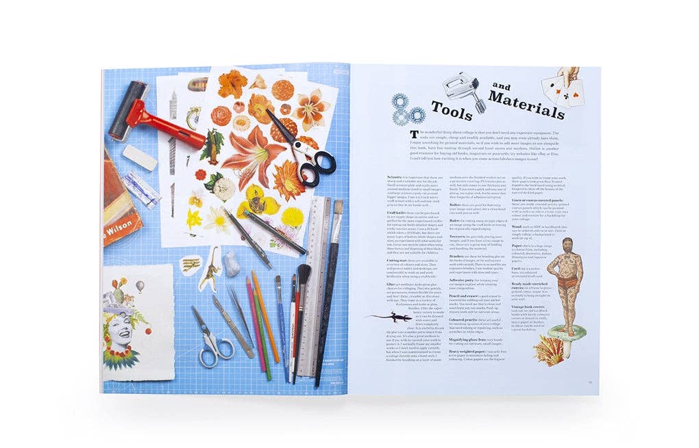 Extraordinary Things to Cut Out and Collage by Maria Rivans (Paperback)