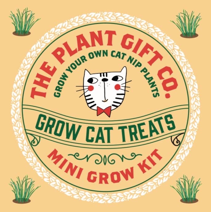 Grow Cat Treats - Mini-Grow-Kit