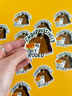 Not My First Rodeo Horse Gloss Vinyl Sticker