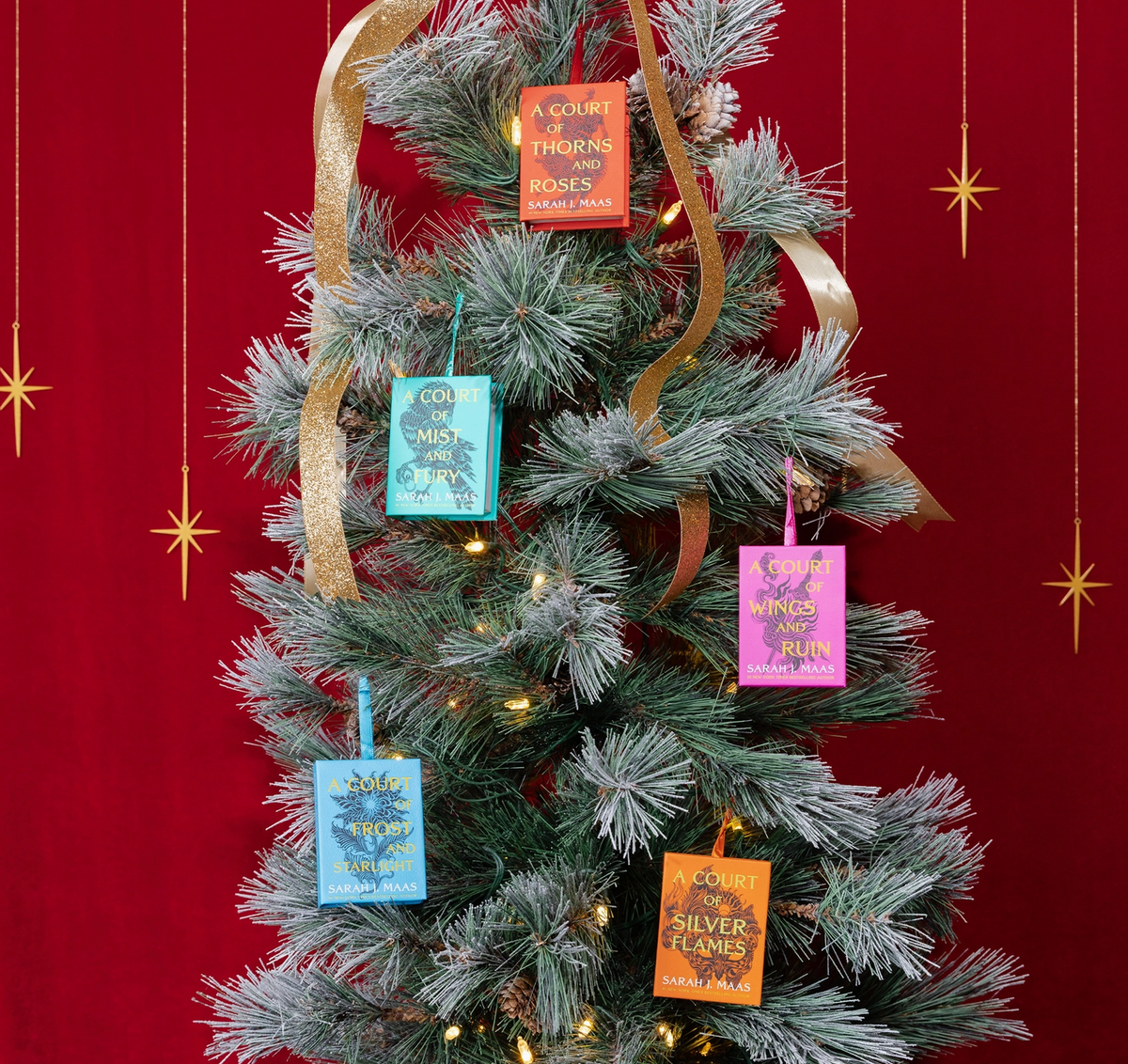 A Court of Thorns and Roses Ornament Set - Books (Paper)