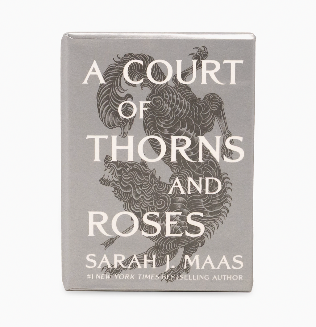 A Court of Thorns and Roses Ornament Set - Books (Paper)