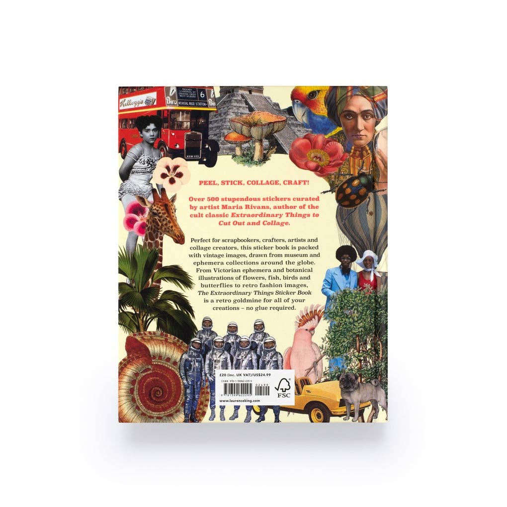 Extraordinary Things Sticker Book by Maria Rivans (Hardback)