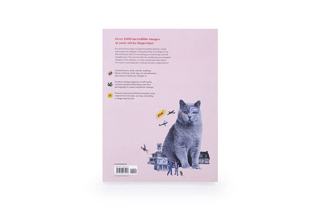 Extraordinary Things to Cut Out and Collage by Maria Rivans (Paperback)