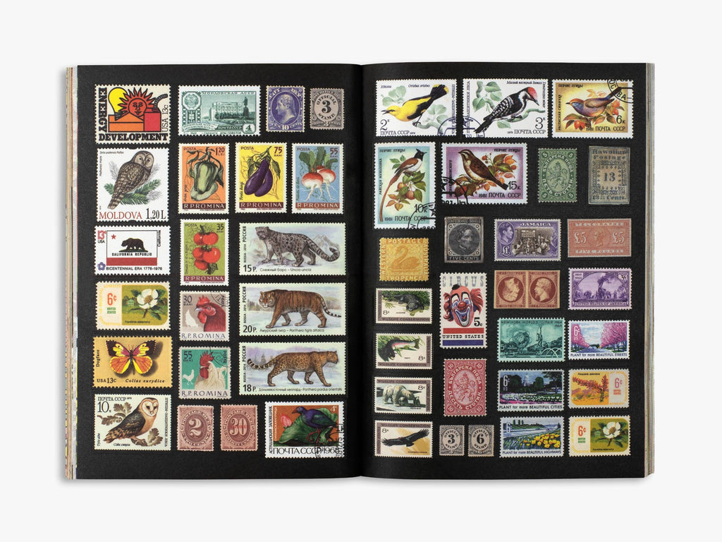 The Curious Collections Sticker Book