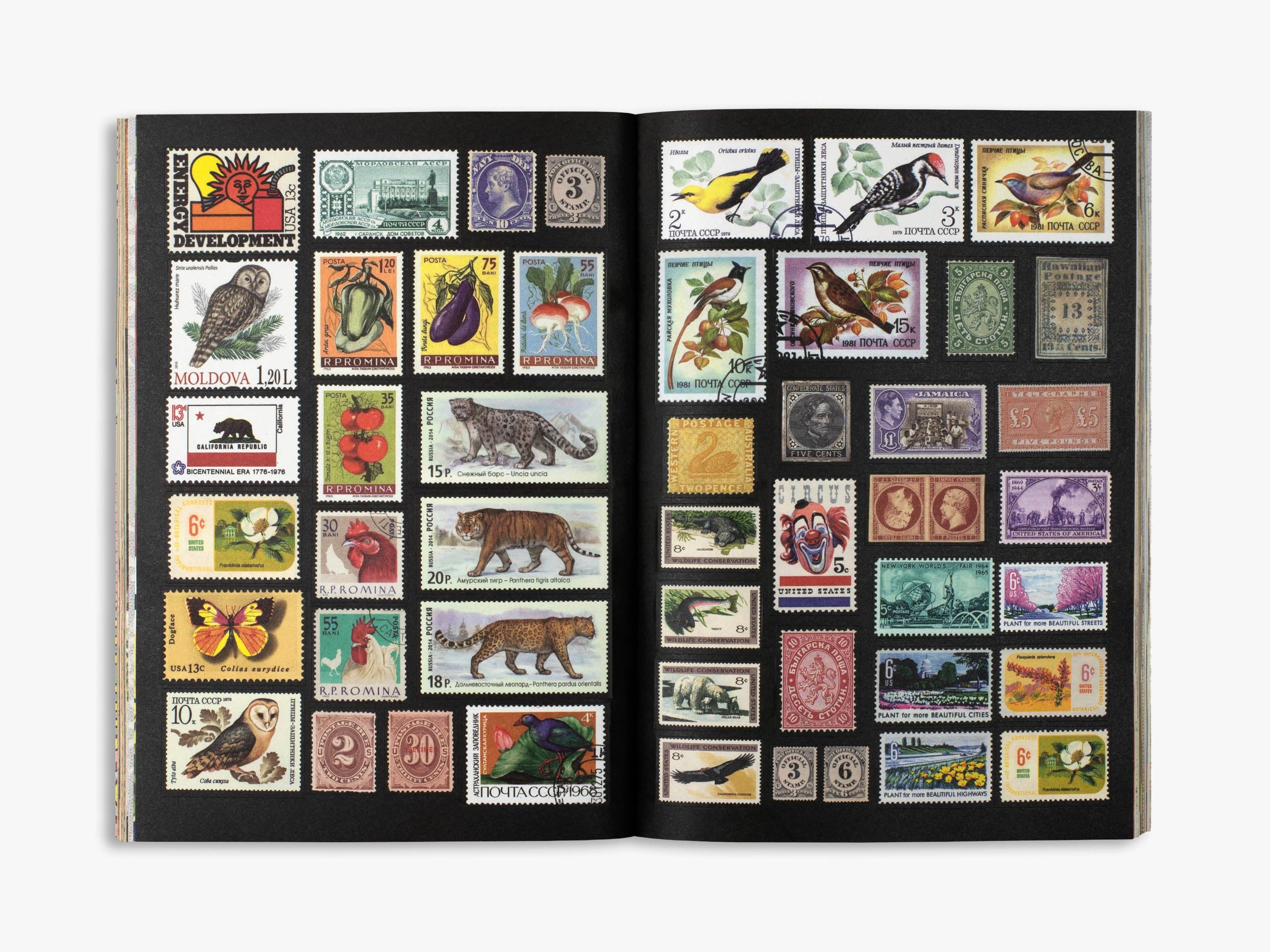 The Curious Collections Sticker Book