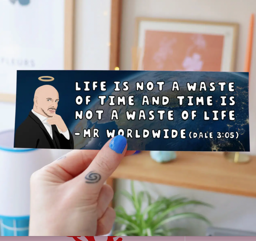 Life is not a Waste of Time Mr Worldwide Bumper Sticker